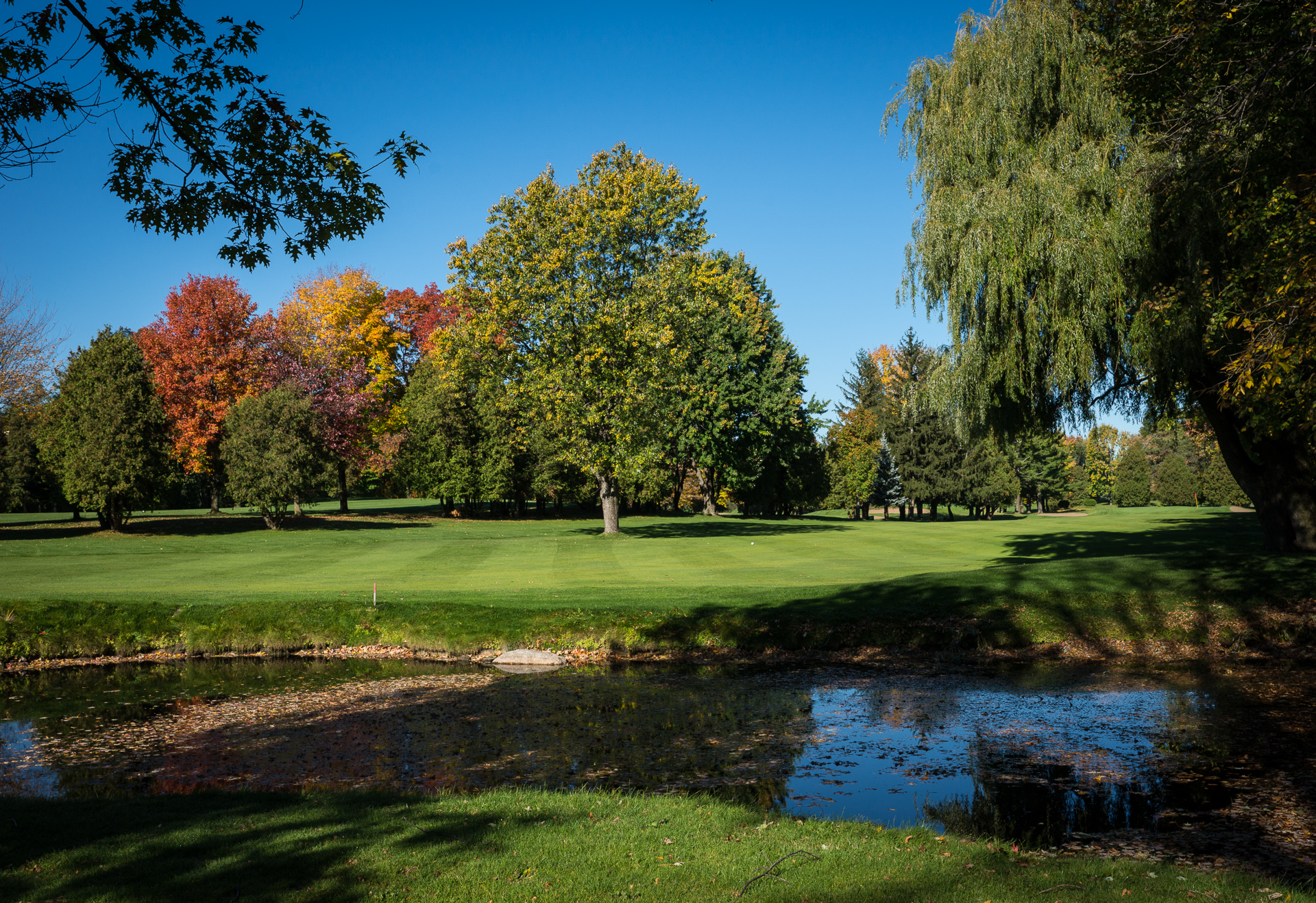 Our Golf Course