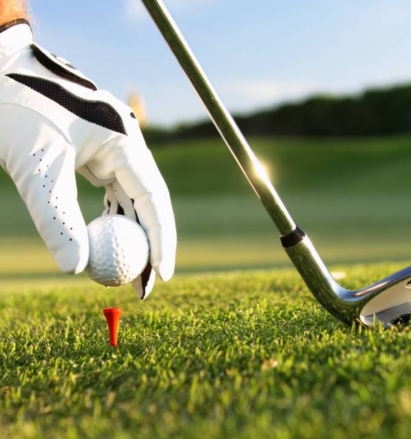 golf tee